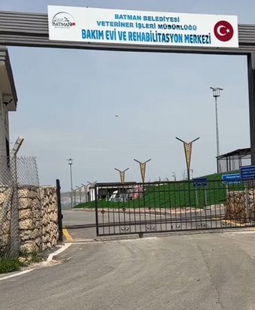 Ekran görüntüsü 2025-04-07 164007