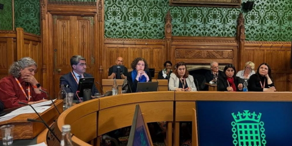 DEVA’lı Ekmen Londra’da konuştu: Türkiye’deki süreç emsalsiz bir yapıya sahip