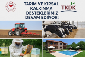 Ekran görüntüsü 2025-04-11 160535