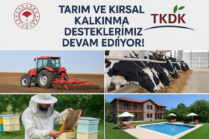Ekran görüntüsü 2025-04-11 160535