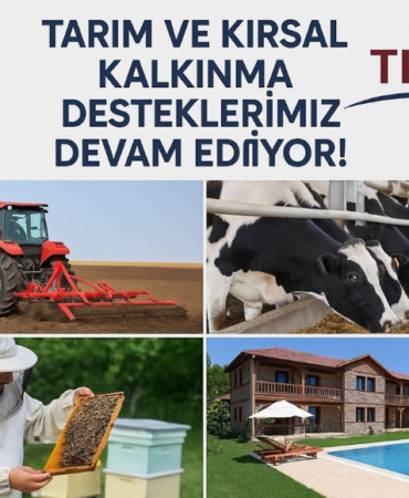 Ekran görüntüsü 2025-04-11 160535