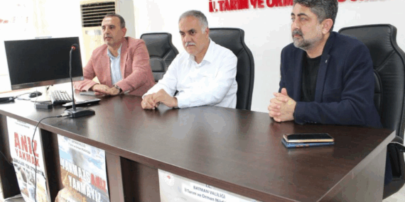 Böğürtlen yetiştiriciliği Batman’da yeni gelir kapısı oluyor