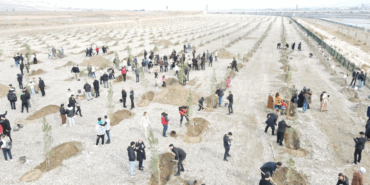 Ekran görüntüsü 2025-04-30 110340