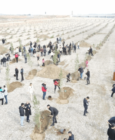 Ekran görüntüsü 2025-04-30 110340