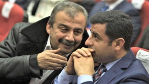 Sırrı Süreyya ve Demirtaş