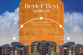 WhatsApp Image 2025-04-12 at 12.11.10