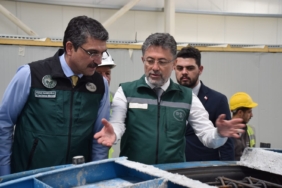 WhatsApp Image 2025-04-17 at 15.13.23