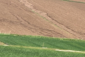 WhatsApp Image 2025-04-21 at 12.44.34 (1)