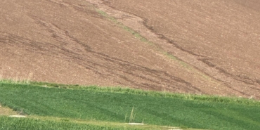 WhatsApp Image 2025-04-21 at 12.44.34 (1)