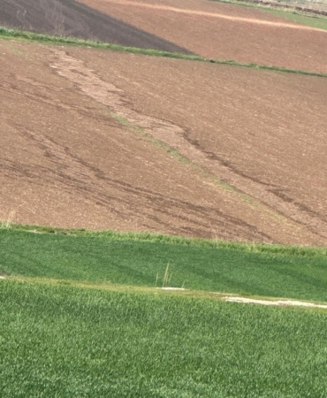 WhatsApp Image 2025-04-21 at 12.44.34 (1)