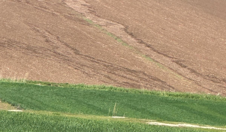 WhatsApp Image 2025-04-21 at 12.44.34 (1)