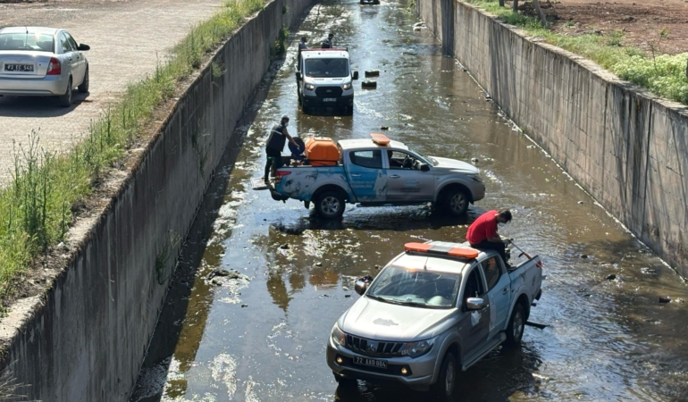 WhatsApp Image 2025-04-28 at 10.47.53