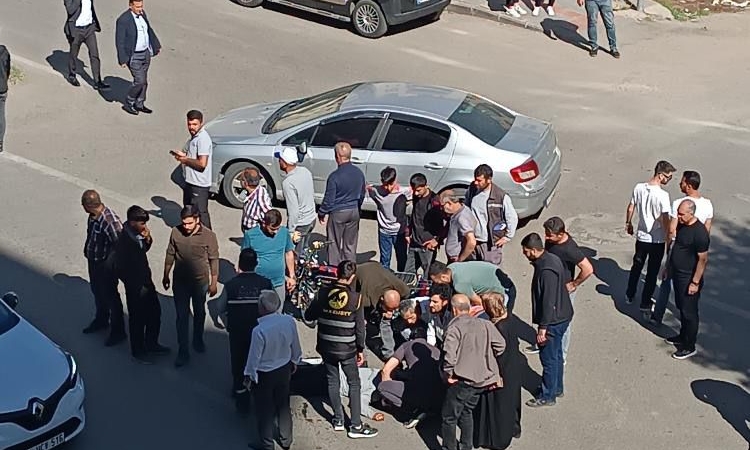 WhatsApp Image 2025-04-28 at 15.35.05