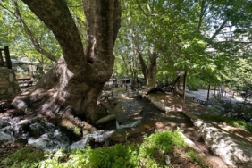 WhatsApp Image 2025-04-29 at 12.44.00 (1)