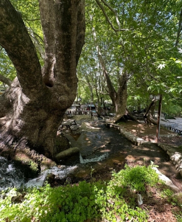 WhatsApp Image 2025-04-29 at 12.44.00 (1)