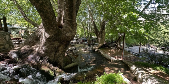 Sason Sevek Mesire Alanı yeniden hayat buluyor