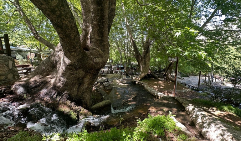 WhatsApp Image 2025-04-29 at 12.44.00 (1)