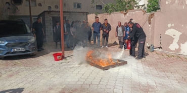 WhatsApp Image 2025-04-29 at 14.52.46