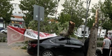 4c715236-97d4-4d14-ac4a-1307b097849c