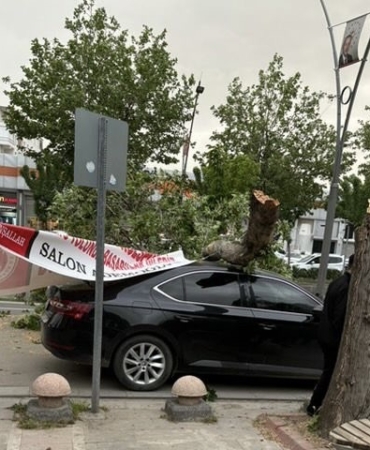 4c715236-97d4-4d14-ac4a-1307b097849c