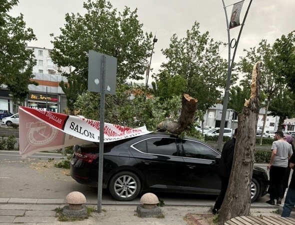 4c715236-97d4-4d14-ac4a-1307b097849c