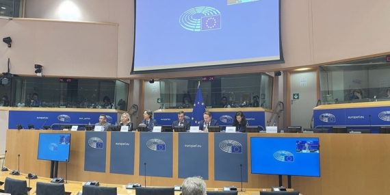 Avrupa Parlamentosunda ‘Bahçeli ve Öcalan’ övgüsü