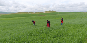 Ekran görüntüsü 2025-05-02 140029