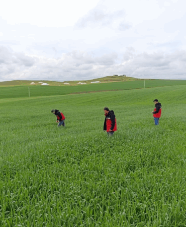 Ekran görüntüsü 2025-05-02 140029