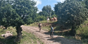 Ekran görüntüsü 2025-05-09 171722