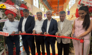 Ekran görüntüsü 2025-05-10 150206