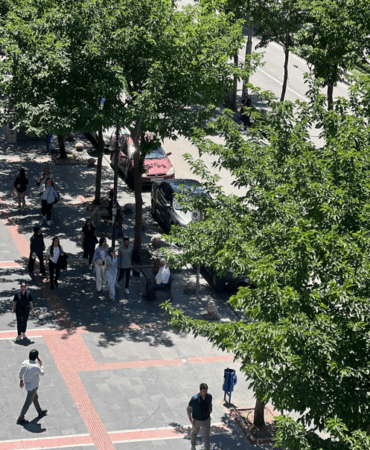 Ekran görüntüsü 2025-05-16 122519