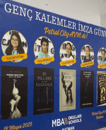 Ekran görüntüsü 2025-05-19 153121