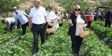 Ekran görüntüsü 2025-05-23 111652