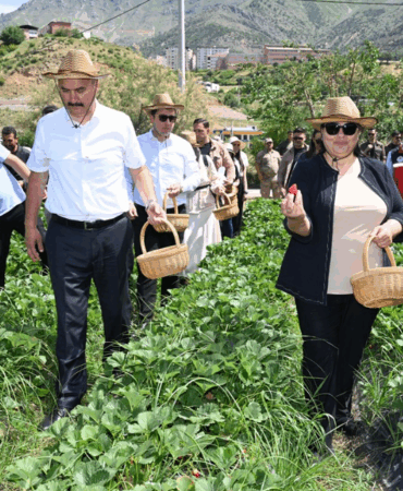 Ekran görüntüsü 2025-05-23 111652