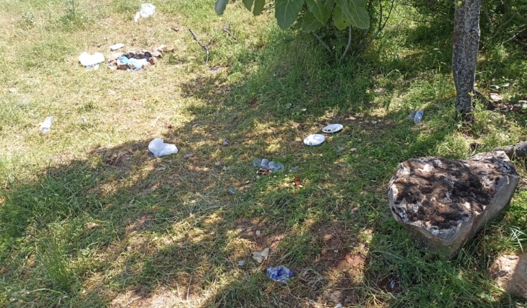 WhatsApp Image 2025-05-11 at 17.53.08