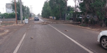 WhatsApp Image 2025-05-13 at 14.28.03