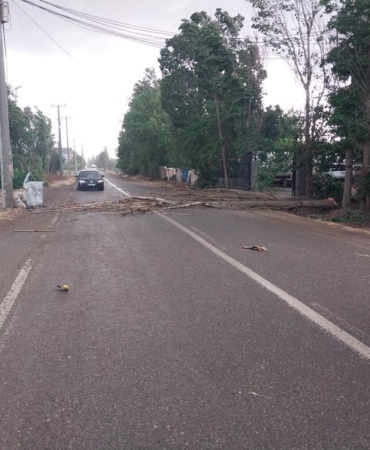 WhatsApp Image 2025-05-13 at 14.28.03