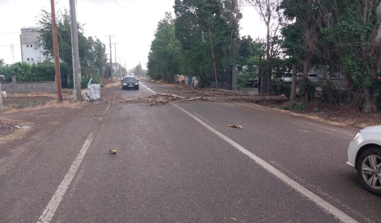 WhatsApp Image 2025-05-13 at 14.28.03