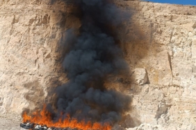 WhatsApp Image 2025-05-16 at 15.51.47