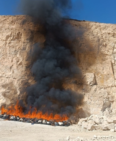 WhatsApp Image 2025-05-16 at 15.51.47