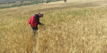 WhatsApp Image 2025-05-23 at 10.27.10