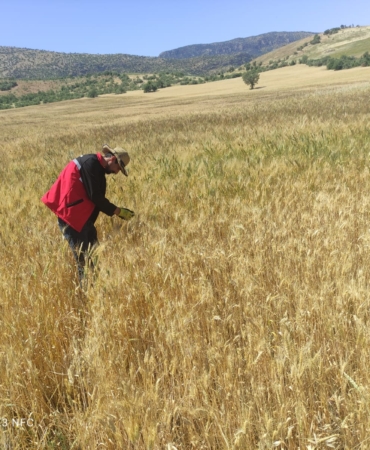 WhatsApp Image 2025-05-23 at 10.27.10