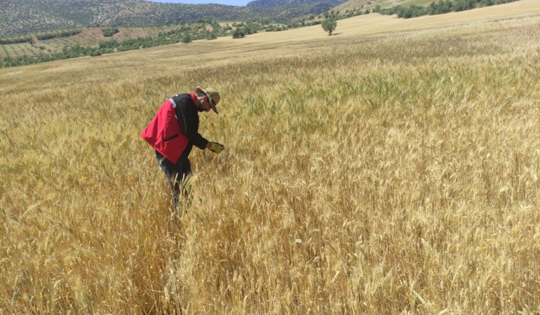 WhatsApp Image 2025-05-23 at 10.27.10