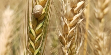 WhatsApp Image 2025-05-26 at 11.16.05 (3)