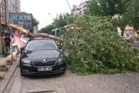 diyarbakir-ve-batmanda-firtina-cati-ve-agaclar-araclarin-uzerine-devrildi