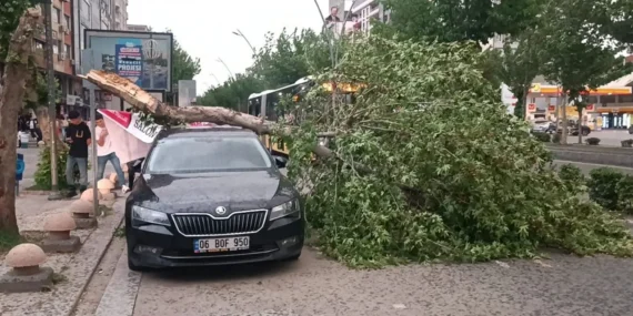 Batman için uyarı: Çatı uçması ve ağaç ve direk devrilmesine dikkat