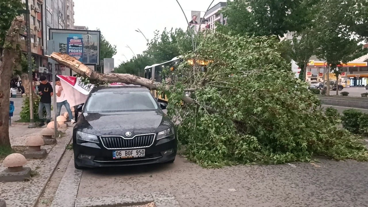 SAAT 15:00'A DİKKAT: Batman’da kuvvetli rüzgar uyarısı: Fırtına ve çatı uçmalarına dikkat! diyarbakir-ve-batmanda-firtina-cati-ve-agaclar-araclarin-uzerine-devrildi