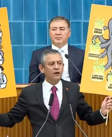 ozgur-ozel-ahtapot-b6l8_cover