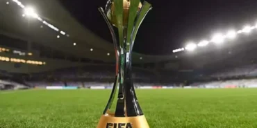 6ca15e83-b7bf-435a-9076-545032c5741d