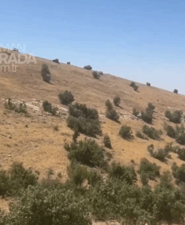 Ekran Resmi 2025-06-22 14.20.39